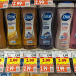 Dial Body Wash As Low As $2.99 Per Bottle At Kroger