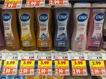 Dial Body Wash As Low As $2.99 Per Bottle At Kroger