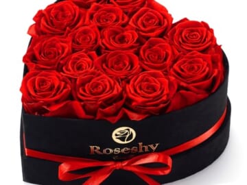 Valentines Day Flowers Roses Gifts for Her,16pcs Red Forever Preserved Roses in Heart Shape Gift Box,Valentines Day Delivery Prime Gifts-Roses Gifts for Women,Mom.