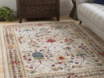 Boutique Rugs Presidents' Day Sale: Up to 60% off + extra 25% off + free shipping