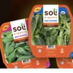 Soli Organic Lettuce FREE at Harris Teeter Via Text Rebate!