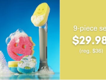 Scrub Daddy 9-Piece Dish Daddy Soap Wand $29.98 (reg. $36)