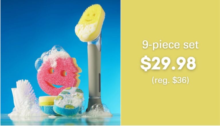 Scrub Daddy 9-Piece Dish Daddy Soap Wand $29.98 (reg. $36)