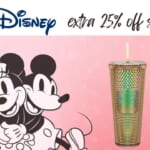 ShopDisney  | 25% Off Sitewide, Including Sale!