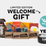 Free Yeti Bowl with New Bark Box Super Chewer Subscription