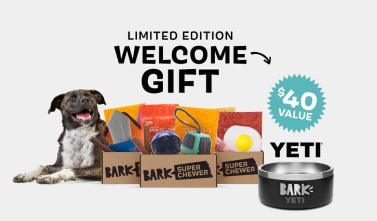 Free Yeti Bowl with New Bark Box Super Chewer Subscription