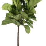 House Plants at Lowe's: Up to 50% off + free shipping w/ $45