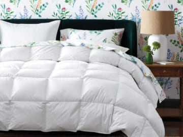 The Company Store Presidents' Day Sale: Up to 40% off specials + 25% off sitewide + free shipping w/ $75