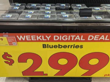 Get Big Containers Of Organic Blueberries As Low As $2.99 At Kroger