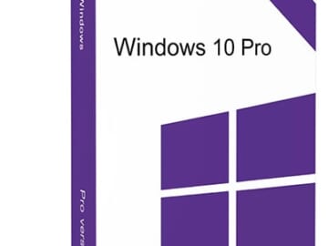 Microsoft Windows 10 or 11 Professional Operating System for $23 + digital download