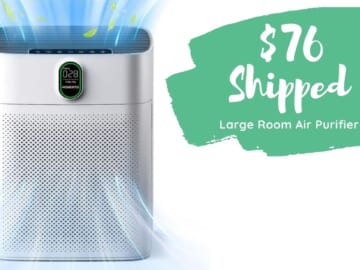 Large Room Air Purifier Only $76 Shipped (Reg. $650)