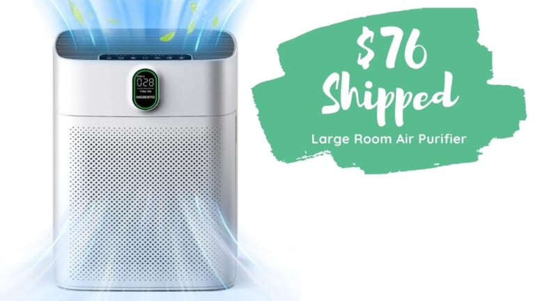 Large Room Air Purifier Only $76 Shipped (Reg. $650)