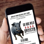 Duluth Trading Co. eGift Card: 25% off $100 or more