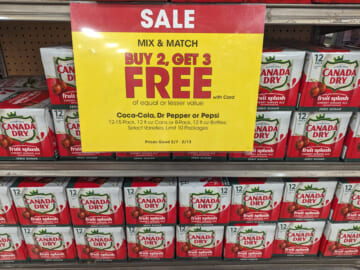 Canada Dry Fruit Splash Ginger Ale 12-Packs As Low As $2.80 Each At Kroger