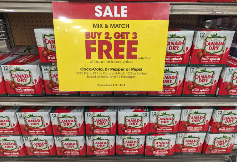 Canada Dry Fruit Splash Ginger Ale 12-Packs As Low As $2.80 Each At Kroger