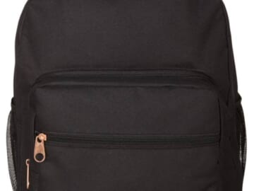 DSG Ultimate Backpack 2.0 for $13 + free shipping w/ $49