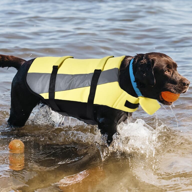 Amazon Basics Dog Adjustable Life Jacket, Yellow, Small $6.87 (Reg. $11.51) – With Reflective Strips