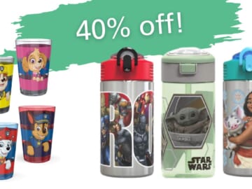 Amazon | 40% Off Zak Designs Drinkware
