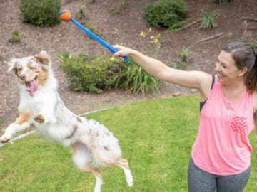 Up to 75% off ChuckIt! Dog Toys