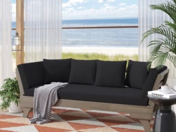 Koray 65.5'' Acacia Outdoor Patio Daybed