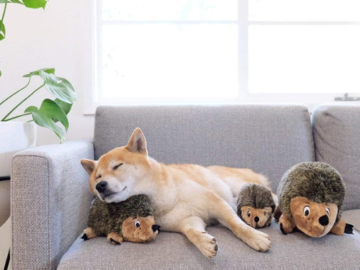 Outward Hound XL Hedgehogz Plush Dog Toy as low as $11.69 Shipped Free (Reg. $13)