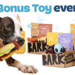 BarkBox 6-Month Super Chewer Subscription w/ Extra Toy Per Month for $29/Box