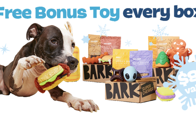 BarkBox 6-Month Super Chewer Subscription w/ Extra Toy Per Month for $29/Box