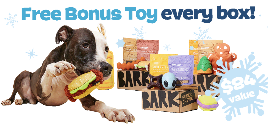 BarkBox 6-Month Super Chewer Subscription w/ Extra Toy Per Month for $29/Box