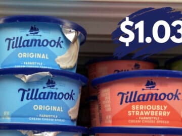 $1.03 Tillamook Cream Cheese | Deals at Publix & Kroger
