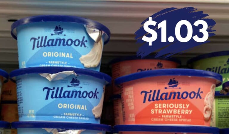 $1.03 Tillamook Cream Cheese | Deals at Publix & Kroger