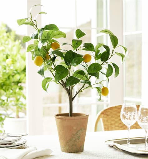 Monique Lhuillier Faux Lemon Tree