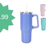 Woot! $7.99 Splash Stainless Steel 30-Ounce Travel Mug