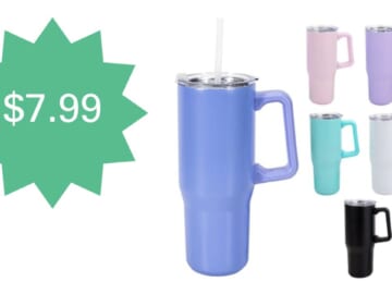 Woot! $7.99 Splash Stainless Steel 30-Ounce Travel Mug