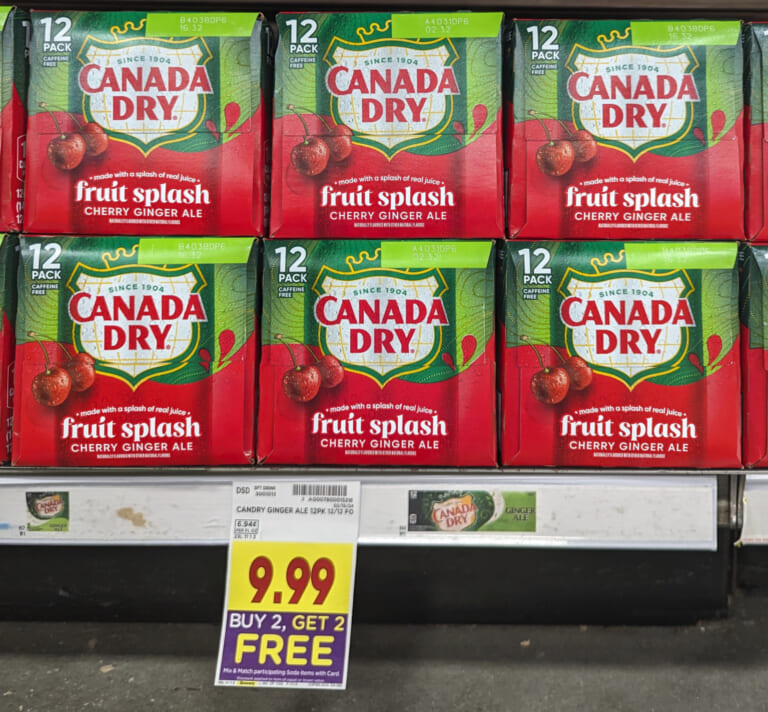 Canada Dry Fruit Splash Ginger Ale 12-Packs As Low As $3.50 Each At Kroger