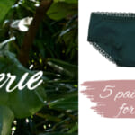 5 Pairs of Aerie Undies for $10 Through March 8th!