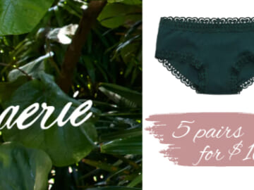 5 Pairs of Aerie Undies for $10 Through March 8th!
