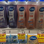 Dial Body Wash As Low As $3.49 At Kroger