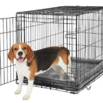 PetSmart Sitewide Coupon: 15% off + free shipping w/ $49