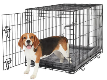 PetSmart Sitewide Coupon: 15% off + free shipping w/ $49