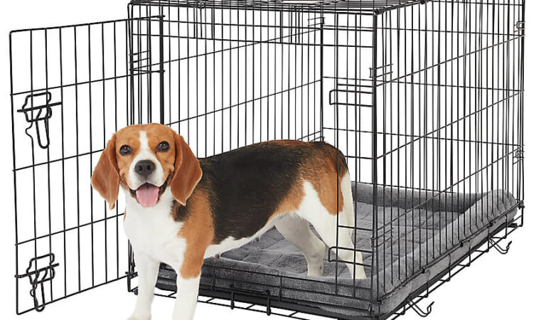 PetSmart Sitewide Coupon: 15% off + free shipping w/ $49