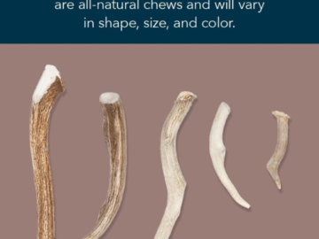 Wag Whole X-Large Elk Antler Dog Toy as low as $13.38 Shipped Free (Reg. $33)