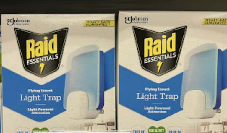 FREE Raid Essentials Insect Light Trap