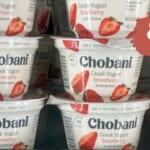 80¢ Chobani Greek Yogurt at Publix