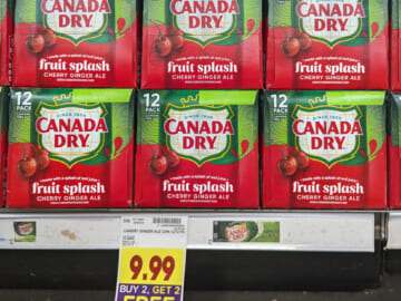 Canada Dry Fruit Splash Ginger Ale 12-Packs As Low As $3.50 Each At Kroger