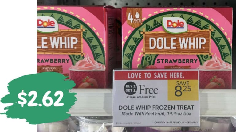 $2.62 Dole Whip Frozen Treats at Publix (reg. $8.25)