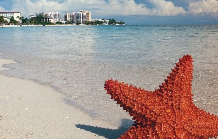 3-Night 4-Star Adults-Only All-Inclusive Cancun Flight & Hotel Vacation from $569 per person