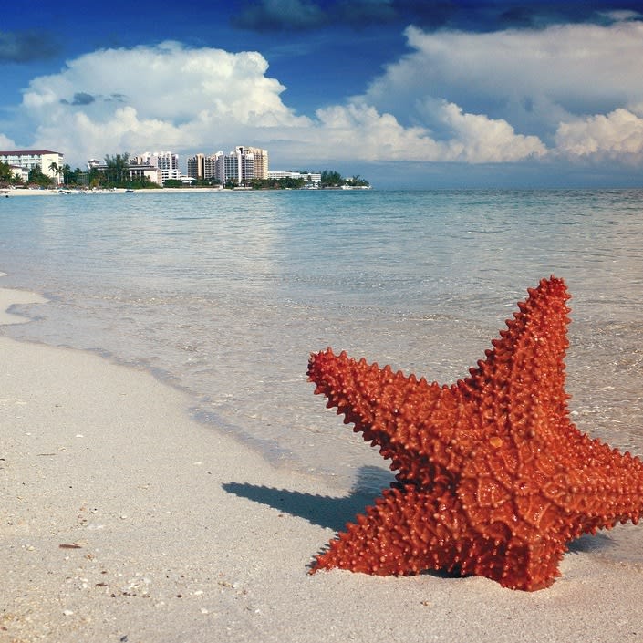 3-Night 4-Star Adults-Only All-Inclusive Cancun Flight & Hotel Vacation from $569 per person