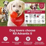 K9 Advantix 4-Pack Flea & Tick Prevention for Large Dogs 21-55 lbs as low as $30.86 Shipped Free (Reg. $64.78) – 4-Monthly Treatment –