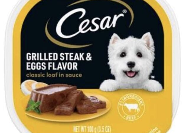 Cesar Wet Dog Food Trays only $0.20 at Target!