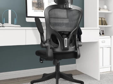Ergonomic Office Chair for $66 + free shipping